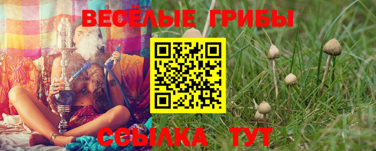 Каспийск  Псилоцибиновые грибы Psilocybine cubensis  продажа наркотиков  Вход с VPN 