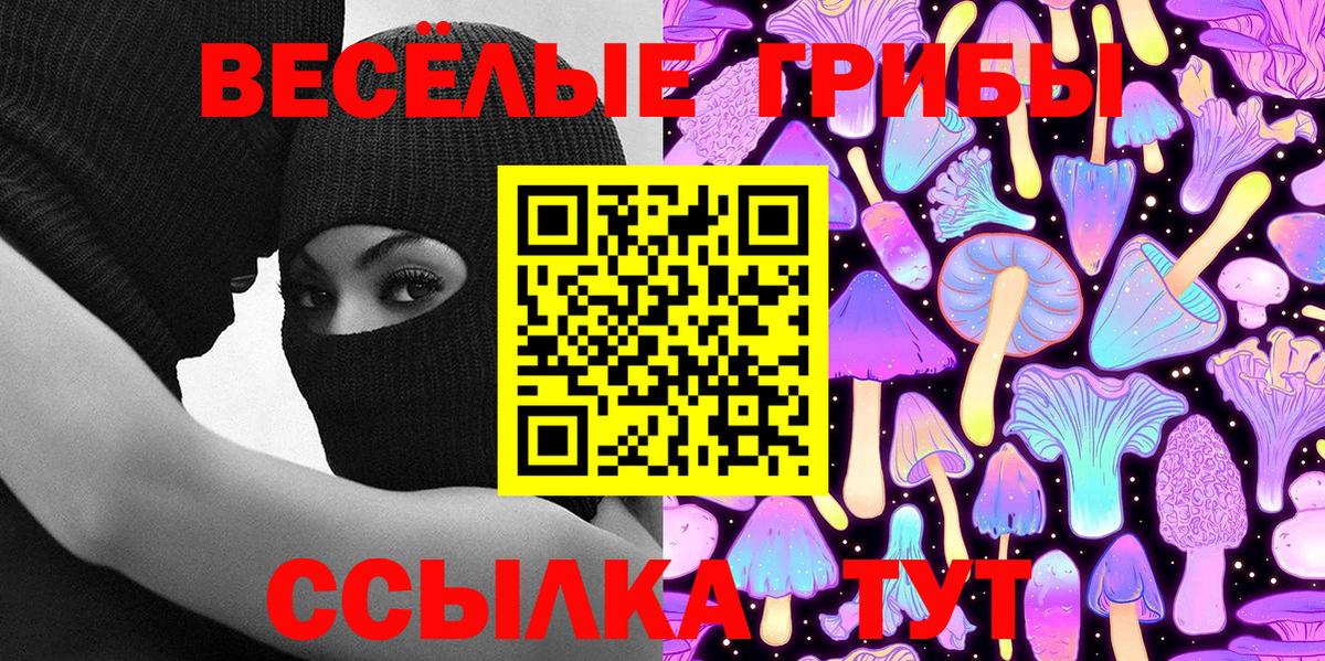 Галлюциногенные грибы Cubensis Каспийск