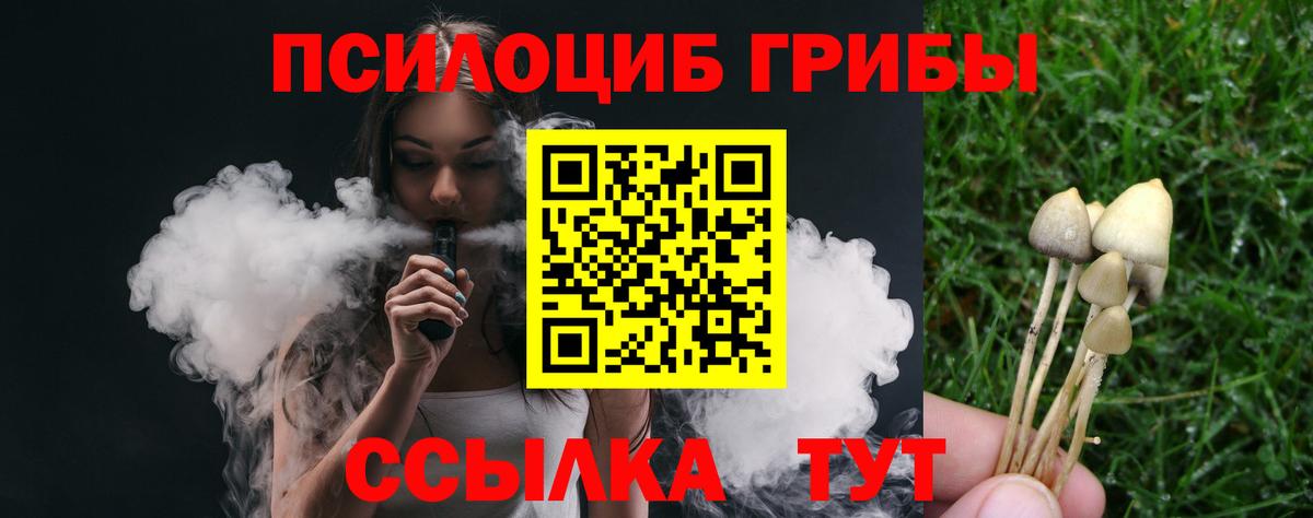Псилоцибиновые грибы мицелий  Каспийск 